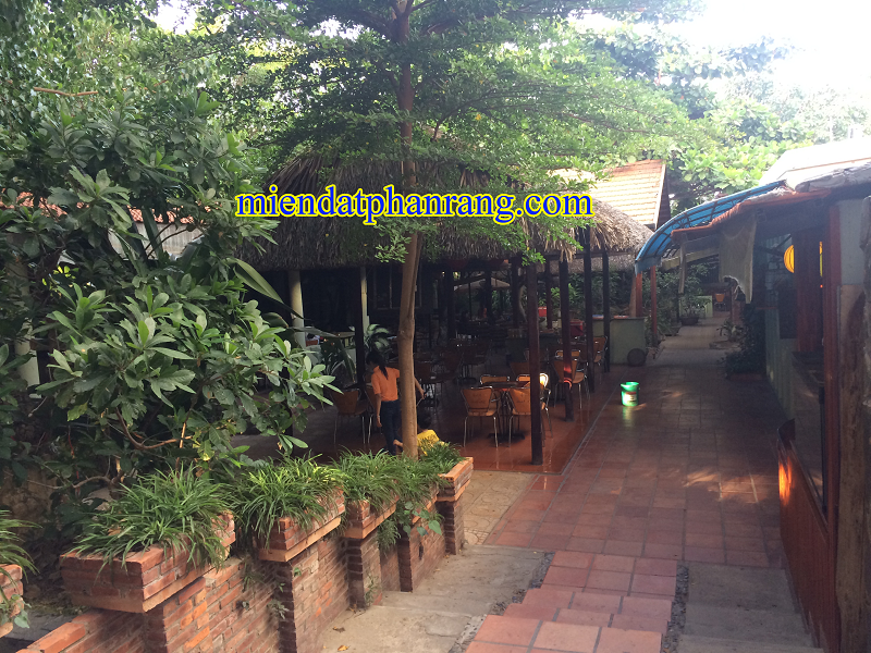 cafe sân vườn phan rang